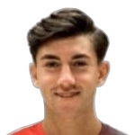 Domingo Pujante