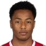 Dillon Hoogewerf