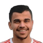 Mohamed Nehari