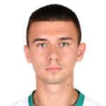 Stefan Gavrilov