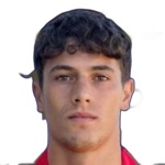 Lorenzo Pulsoni
