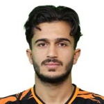 Seyed Mehdi Hosseini