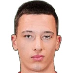 Elmando Gjini