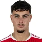 Aleksandar Pavlović