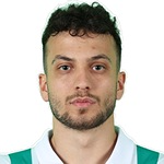 Ali Şahin Yılmaz