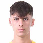 Denis Matei