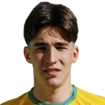 Tudor Butucel