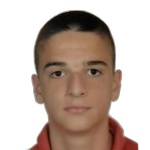 Nikša Čulina