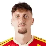 Milan Robin