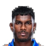 Brison Fernandes