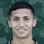 Diego Pereira Fuentes
