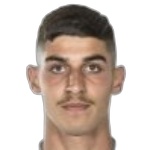 Roee Levi