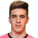 Nikola Radovic