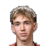 Helgi Fróði Ingason