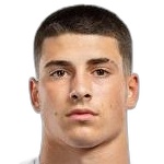 Niko Fridl