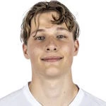 Dominique Witte