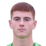Mirko Castagnini