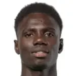 Cheikh Fall