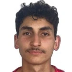 Mahmut Bozkurt