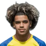 Riyan Majdi