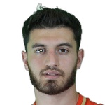 Amirhossein Bahador