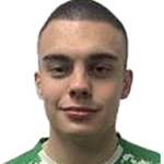 Luka Anić