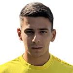 Dimitrios Raftopoulos