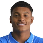 Luiz Fernando