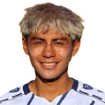 Bryan Ronaldo Puma Alvarez