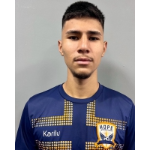 Henrique Ferreira Santos