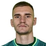 Daris Karišik