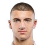 Roko Vojvodic