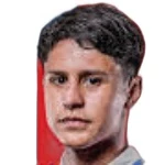 Nestor Salinas