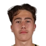 Jelle Driessen