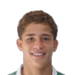 Bernardo Lopes Silva