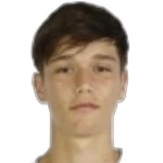 Vinicius Freitas Fabri