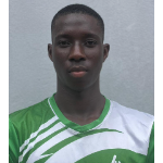 Samuel Ogedengbe