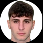 Michele Ercoli