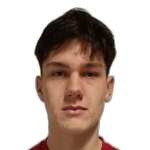 Niko Gomerčić