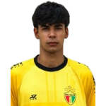 Luis Henrique Dareli Pereira