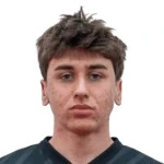 Tarik Tikveša