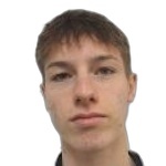 Niko Radek