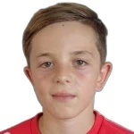 Denis Dulic