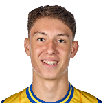 David Gulei