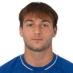 Karlo Zulfić