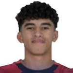 Ibrahim El Nagaawy