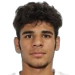 Ebrahim Gholaminejad