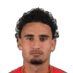 Mert Erkan