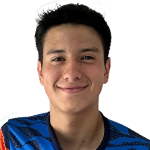 Andre Pavisic Salinas