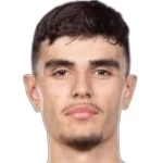 Nikola Mitrovic